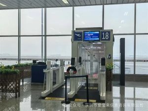 图片[3]-单身出国和夫妻出国做试管代孕有哪些法律限制?哪些国家更适合自己 - 辅助生殖论坛-辅助生殖论坛