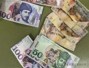 图片[4]-单身出国和夫妻出国做试管代孕有哪些法律限制?哪些国家更适合自己 - 辅助生殖论坛-辅助生殖论坛