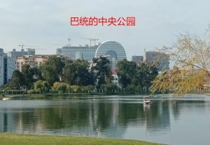 图片[6]-单身出国和夫妻出国做试管代孕有哪些法律限制?哪些国家更适合自己 - 辅助生殖论坛-辅助生殖论坛