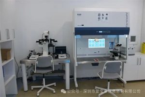 图片[2]-为什么春节有很多家庭想去格鲁吉亚巴统做第三方辅助生殖? - 辅助生殖论坛-辅助生殖论坛