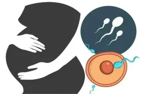 图片[2]-为什么要选择去俄罗斯试管代孕呢？ - 辅助生殖论坛-辅助生殖论坛