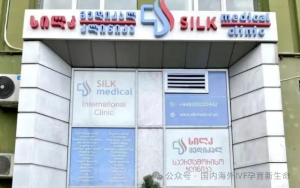 图片[2]-解读：格鲁吉亚试管代孕费用全解析及SMC医院攻略 - 辅助生殖论坛-辅助生殖论坛
