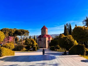 图片[2]-为什么这么多人去格鲁吉亚造娃？▏海外生殖 - 辅助生殖论坛-辅助生殖论坛