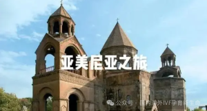 图片[3]-亚美尼亚做第三方辅助生殖可以吗，第三方辅助生殖成功率水平怎么样，费用60万够不够？ - 辅助生殖论坛-辅助生殖论坛