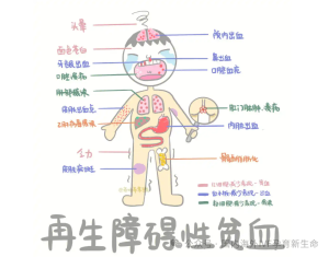 失独家庭，44岁通过做哈萨克斯坦第三方辅助生殖代孕成功怀孕案例 - 辅助生殖论坛-辅助生殖论坛