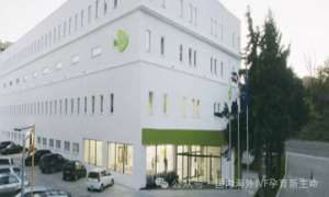 图片[2]-2024年格鲁吉亚第三方辅助生殖医院生殖中心排名前五名单公布！ 格鲁吉亚试管代孕 - 辅助生殖论坛-辅助生殖论坛