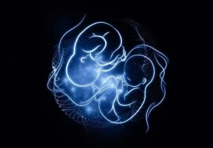 图片[2]-吉尔吉斯斯坦第三方辅助生殖之路 - 辅助生殖论坛-辅助生殖论坛