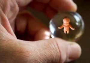 图片[2]-美国第三方辅助生殖宝宝出生后需要办理哪些证件呢？怎么办理呢？ - 辅助生殖论坛-辅助生殖论坛