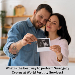 在世界生育服务中心进行塞浦路斯代孕的最佳方式是什么？-辅助生殖论坛