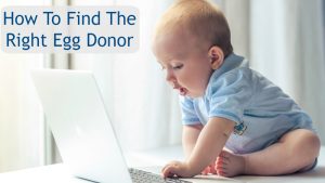 如何决定卵子捐赠者?-辅助生殖论坛