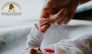 代孕机构可以为我的孩子提供什么帮助-辅助生殖论坛