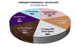 希腊代孕 |在希腊寻找代孕母亲-辅助生殖论坛