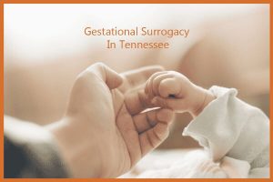 田纳西州的妊娠代孕:您需要了解的信息。-辅助生殖论坛