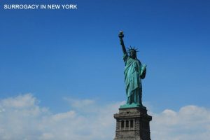 纽约代孕|纽约州最佳代孕机构-辅助生殖论坛
