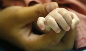 如何在澳大利亚寻找代孕妈妈?-辅助生殖论坛