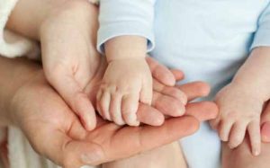 IVF 过程中取卵的类型-辅助生殖论坛