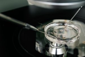 IVF 冷冻胚胎移植 (FET) 周期与新鲜胚胎移植的成功率和优势对比-辅助生殖论坛