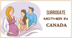 加拿大代孕妈妈-辅助生殖论坛