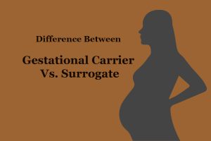 妊娠携带者与妊娠携带者代理人:谁是最好的?-辅助生殖论坛