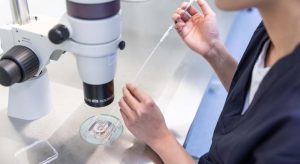 代孕中新鲜胚胎移植与冷冻胚胎移植的利与弊-辅助生殖论坛