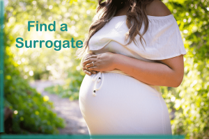 在阿根廷寻找代孕妈妈的综合指南-辅助生殖论坛