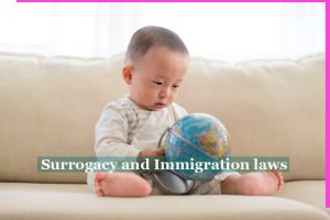 代孕和移民法:如何处理?-辅助生殖论坛