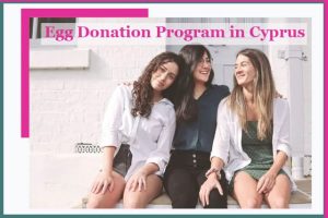 塞浦路斯的卵子捐赠-辅助生殖论坛