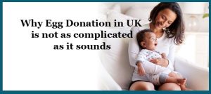 英国的卵子捐赠：为什么它并不像听起来那么复杂？-辅助生殖论坛