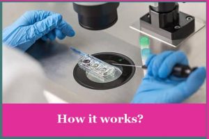 阿根廷的艾滋病毒代孕-辅助生殖论坛