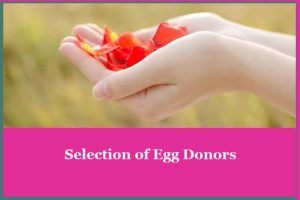 阿根廷的卵子捐赠项目-辅助生殖论坛