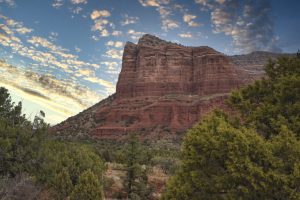 科罗拉多州代孕:您的终极指南-辅助生殖论坛