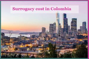 哥伦比亚的代孕费用-辅助生殖论坛