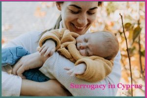 塞浦路斯的代孕项目-辅助生殖论坛