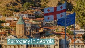 佐治亚州的代孕-辅助生殖论坛