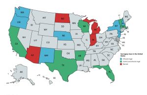 美国有偿代孕的合法性:详细见解-辅助生殖论坛