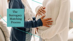 找到那个人——了解代孕匹配过程-辅助生殖论坛
