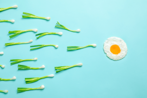 男性不育检测的重要性-辅助生殖论坛