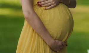 如何开始在澳大利亚进行代孕?-辅助生殖论坛