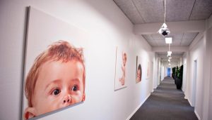 美国允许代孕治疗和程序的主要州-辅助生殖论坛