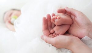 计划在澳大利亚的代孕-辅助生殖论坛