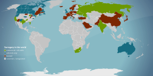 阿根廷的代孕-辅助生殖论坛