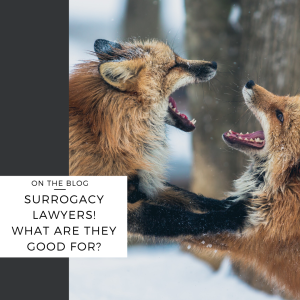 代孕律师!他们有什么用处?-辅助生殖论坛