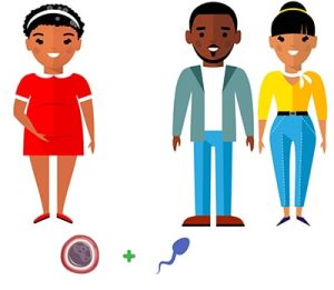 关于代孕的 几个事实-辅助生殖论坛