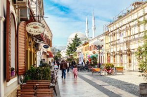 阿尔巴尼亚代孕和试管婴儿研究综述-辅助生殖论坛